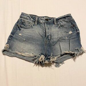Hidden Los Angeles Jean Shorts Womens Size Small